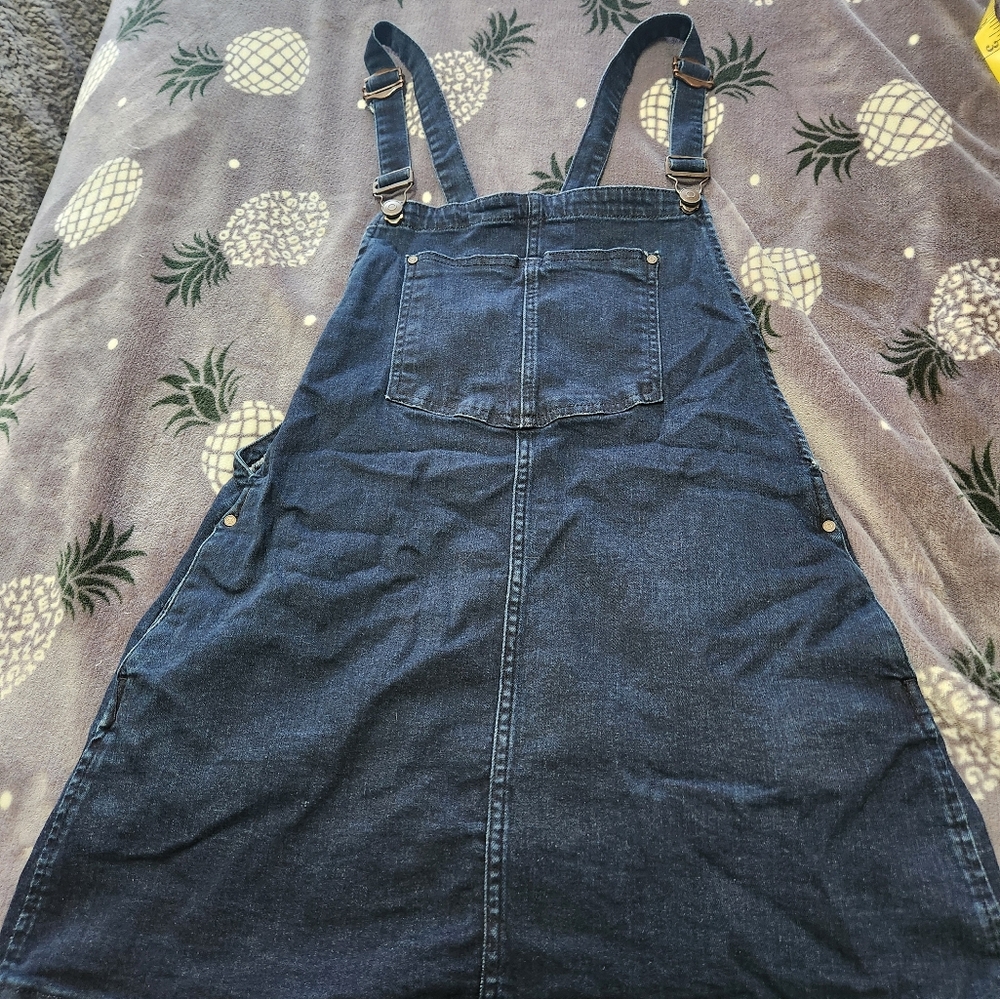 Womens overall dress, size medium, by Zara